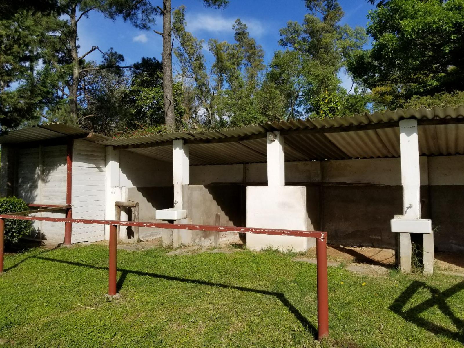 CASA QUINTA PARQUE DE 5083 m2 CON VARIEDAD DE ARBOLEDA - ZONA RESIDENCIAL NOVOA PROPIEDADES — foto 9