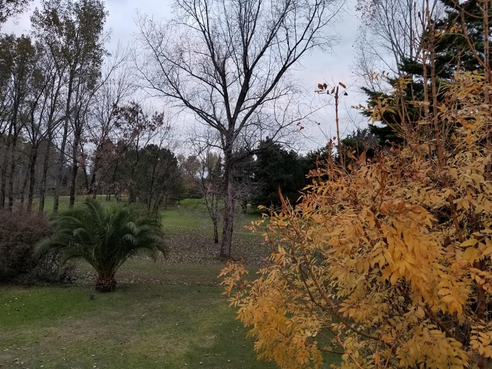A METROS COLECTORA ACCESO OESTE PUENTE - DOS FRACCIONES DE 2200 m2. CADA UNA - VENTA CONJUNTO 4400 EXCELENTE OPORTUNIDAD PARA GALPONES VARIOS DESTINOS NOVOA PROPIEDADES