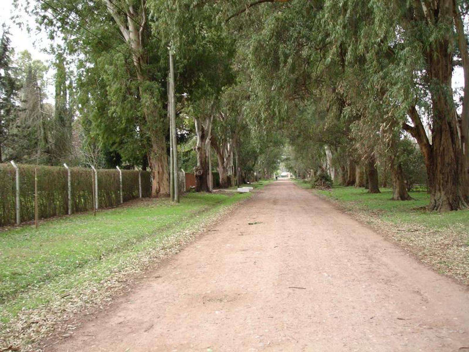CHACRA 5 HECTÁREAS ZONA POLO OPEN DOOR MUY BUEN ACCESO RUTA 192 OPORTUNIDAD NOVOA PROPIEDADES — foto 2