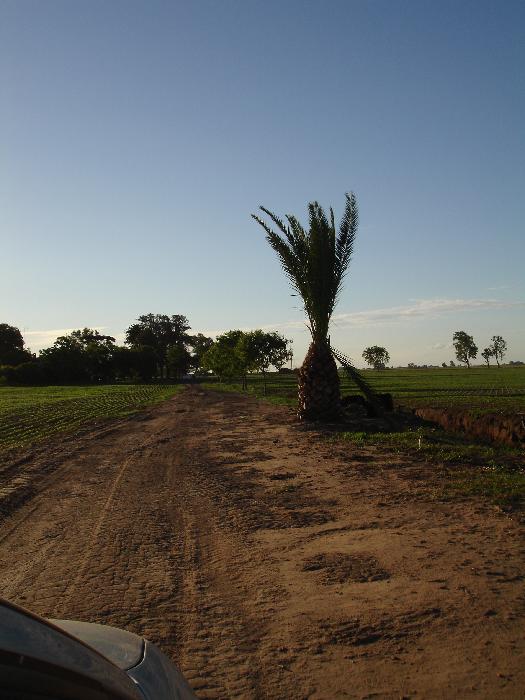 Terreno en Venta en General Rodriguez, Buenos Aires