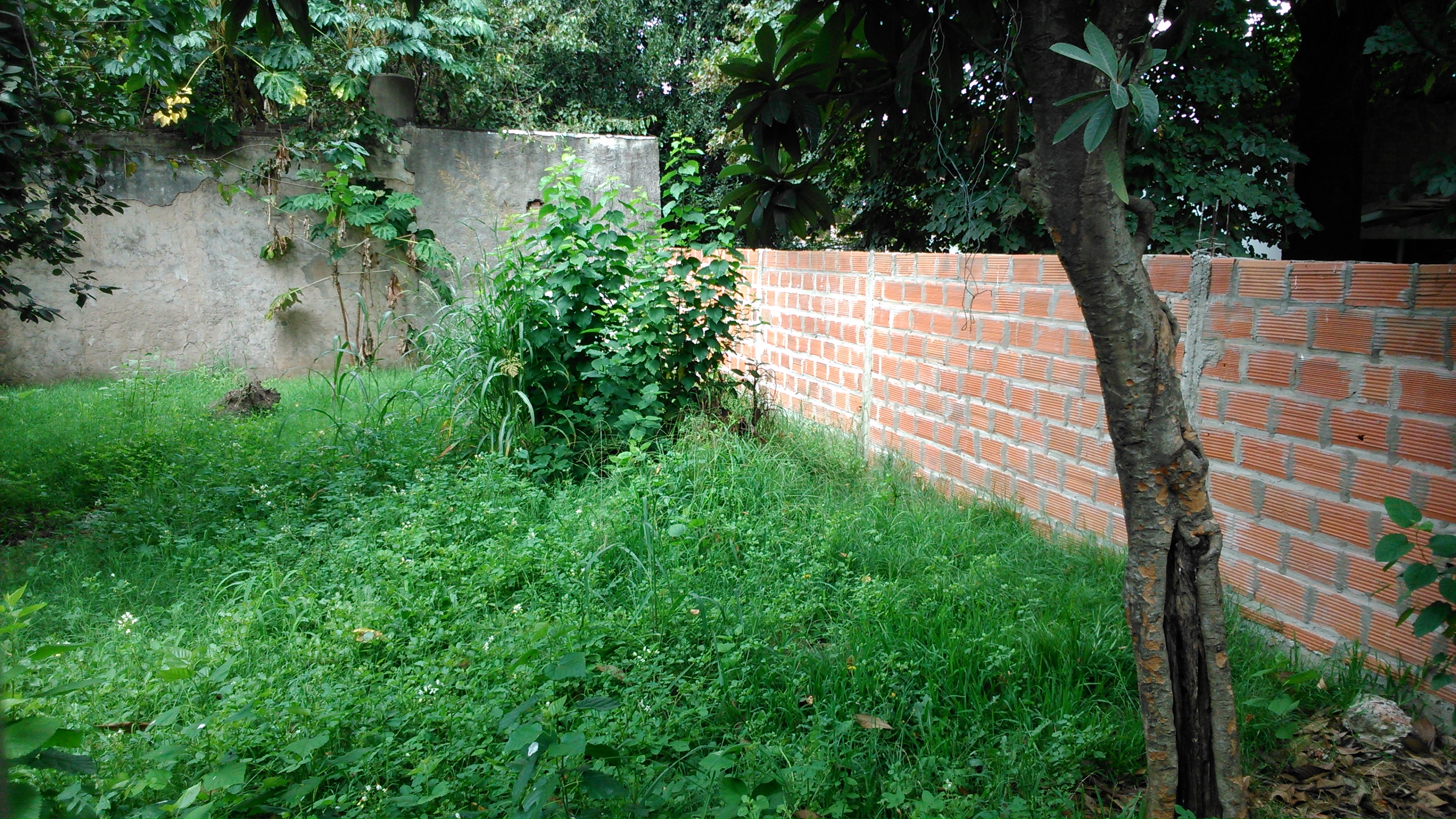 CASA A EST, SE ENTREGA TOTALM. TERMINADA - LOTE 400 m2. A METROS EST. LA REJA - APTA CRÉDITO - NOVOA PROPIEDADES — foto 5