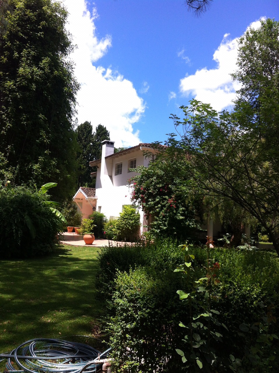 CASA QUINTA 12000 m2 ARBOL. SELECTA ZONA MUY BUENA PILAR - NOVOA PROPIEDADES — foto 12