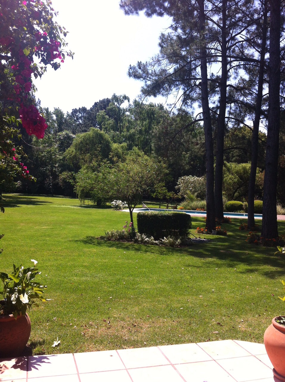 CASA QUINTA 12000 m2 ARBOL. SELECTA ZONA MUY BUENA PILAR - NOVOA PROPIEDADES — foto 14