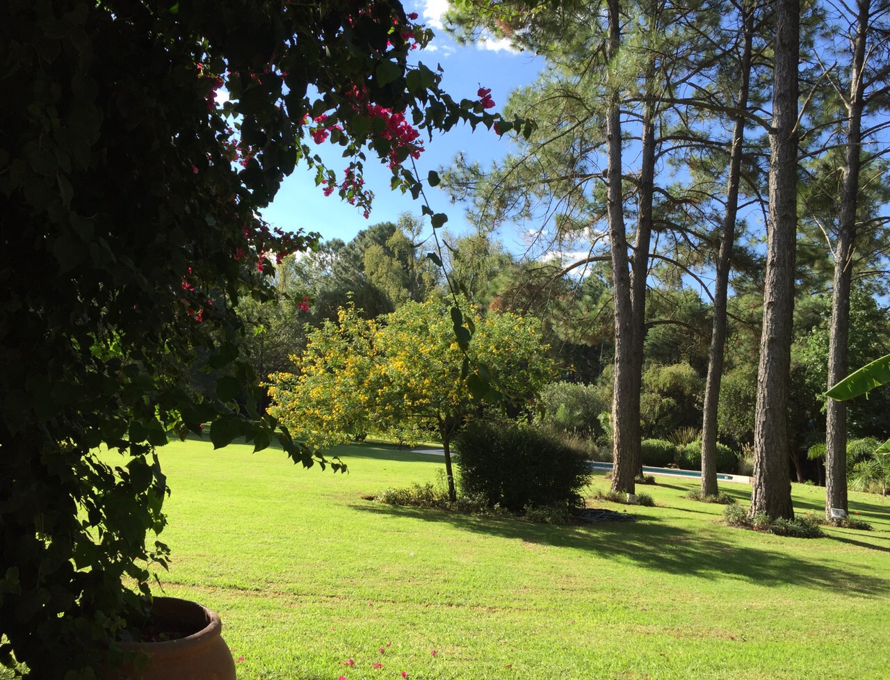 CASA QUINTA 12000 m2 ARBOL. SELECTA ZONA MUY BUENA PILAR - NOVOA PROPIEDADES — foto 15