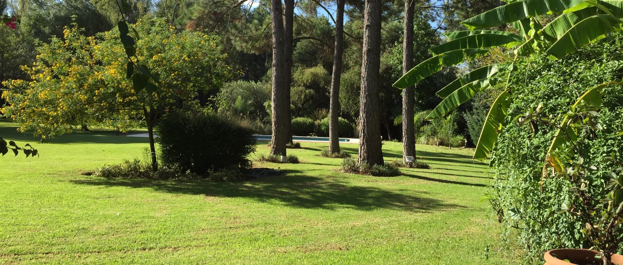 CASA QUINTA 12000 m2 ARBOL. SELECTA ZONA MUY BUENA PILAR - NOVOA PROPIEDADES - 16