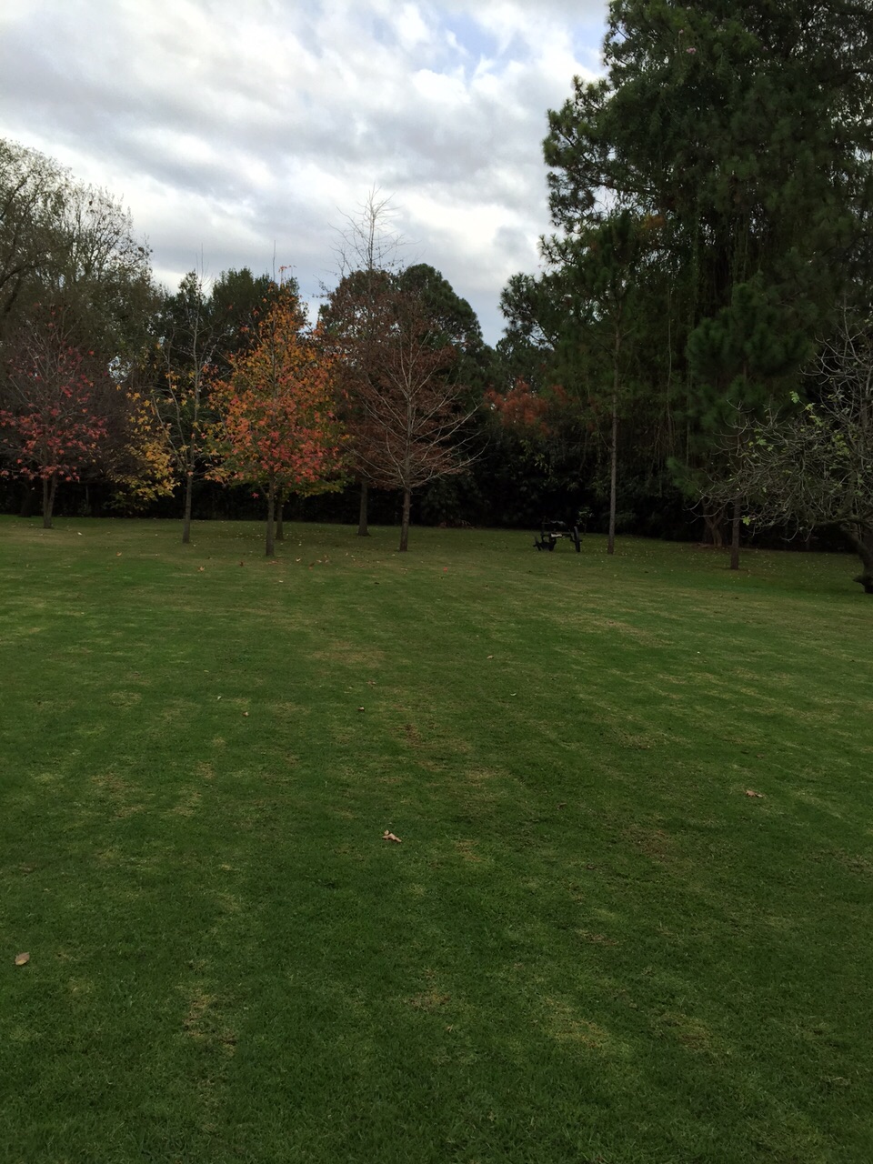 CASA QUINTA 12000 m2 ARBOL. SELECTA ZONA MUY BUENA PILAR - NOVOA PROPIEDADES - 19