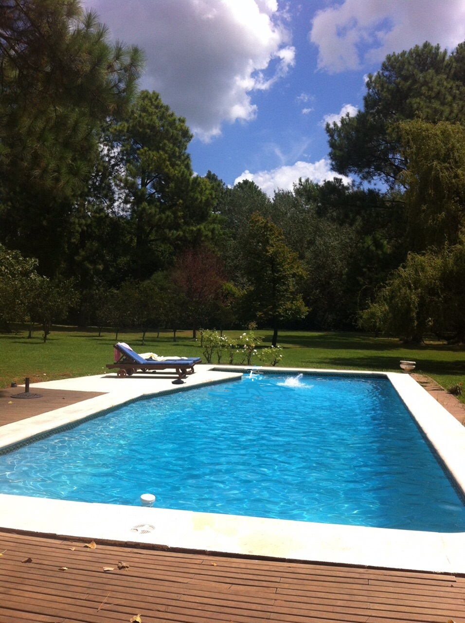 CASA QUINTA 12000 m2 ARBOL. SELECTA ZONA MUY BUENA PILAR - NOVOA PROPIEDADES - 23