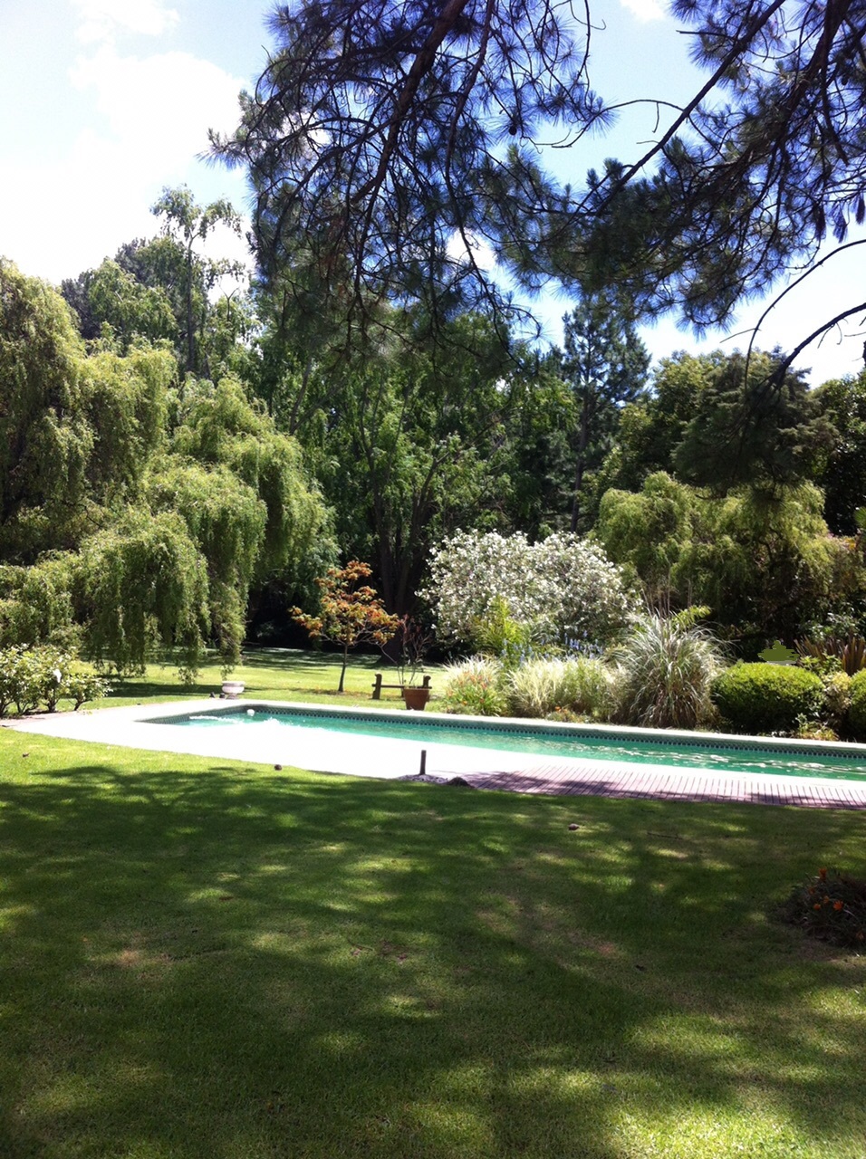 CASA QUINTA 12000 m2 ARBOL. SELECTA ZONA MUY BUENA PILAR - NOVOA PROPIEDADES - 24
