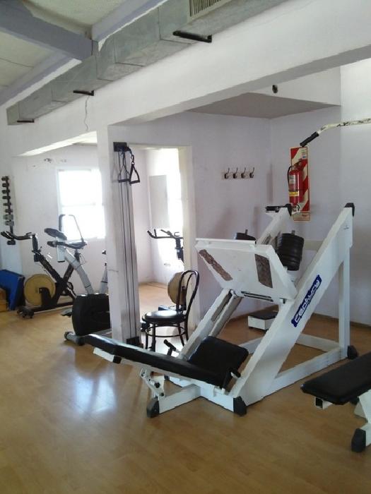 VENTA/ALQUILER. IMPORTANTE PROPIEDAD, APTO VARIOS RUBROS. - 15