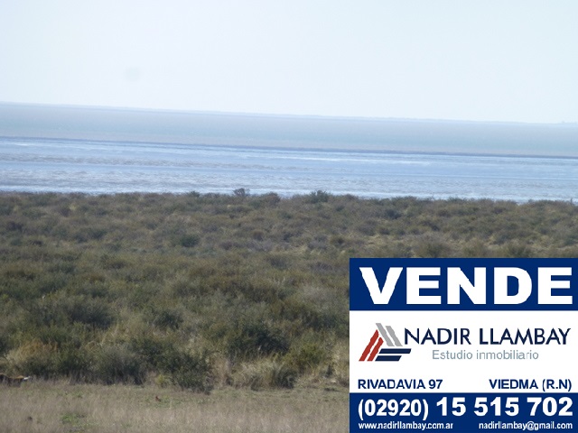 CAMPO MIXTO DE 550HAS EN LOS POCITOS - 1