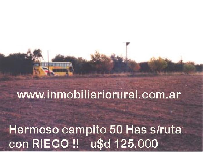 Campo en Venta en Taboada, sobre Ruta 89 y casi Ruta 34, zona de riego - Stgo del Estero - 1