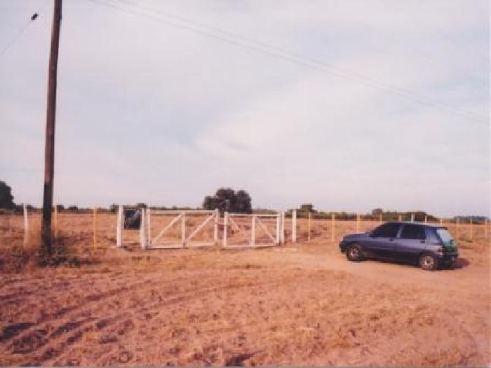 Campo en Venta en Taboada, sobre Ruta 89 y casi Ruta 34, zona de riego - Stgo del Estero - 2