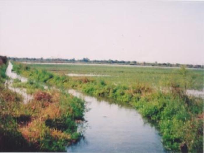 Campo en Venta en Taboada, sobre Ruta 89 y casi Ruta 34, zona de riego - Stgo del Estero - 4