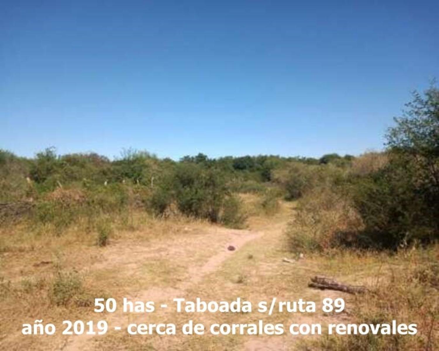 Campo en Venta en Taboada, sobre Ruta 89 y casi Ruta 34, zona de riego - Stgo del Estero - 7