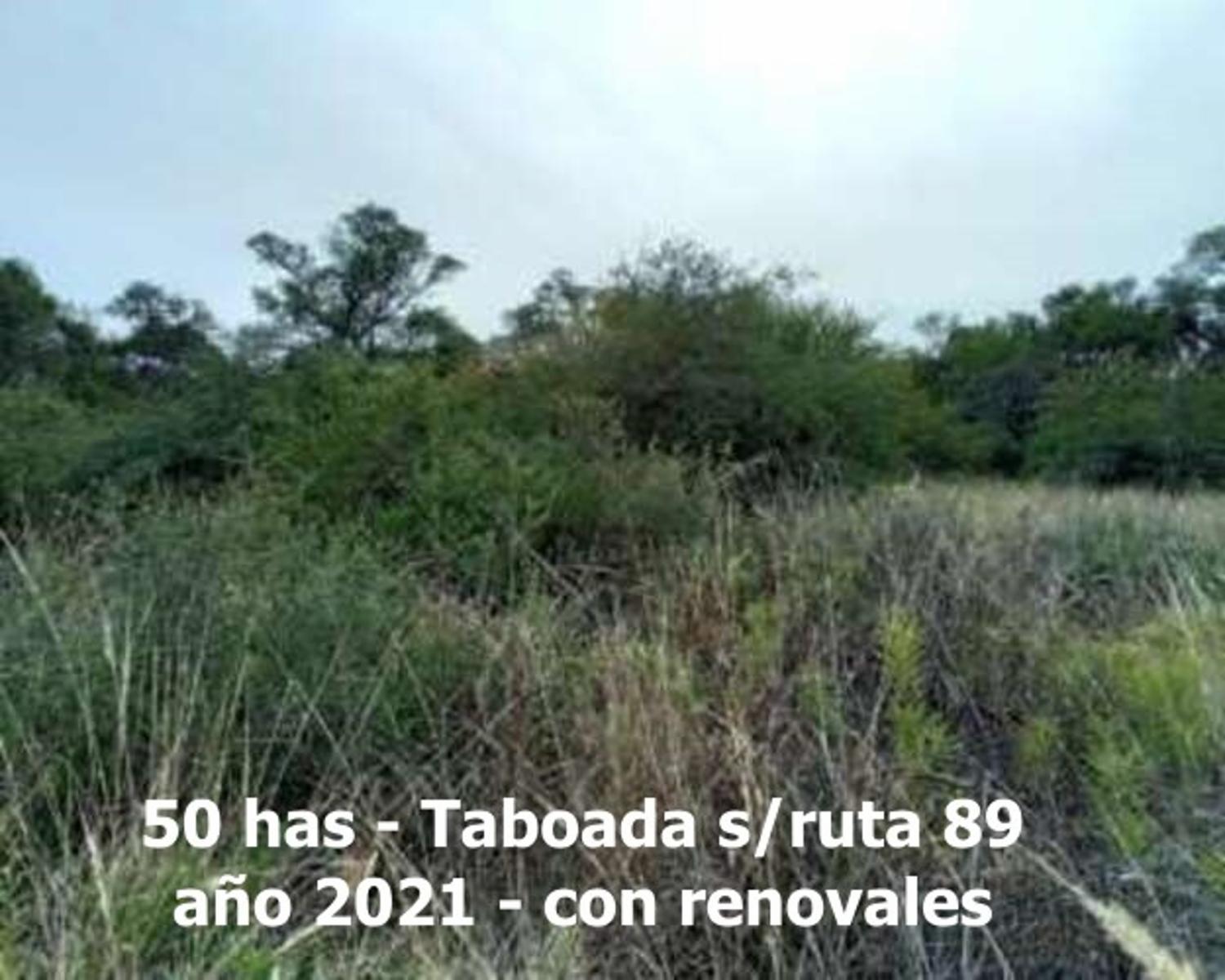 Campo en Venta en Taboada, sobre Ruta 89 y casi Ruta 34, zona de riego - Stgo del Estero - 8
