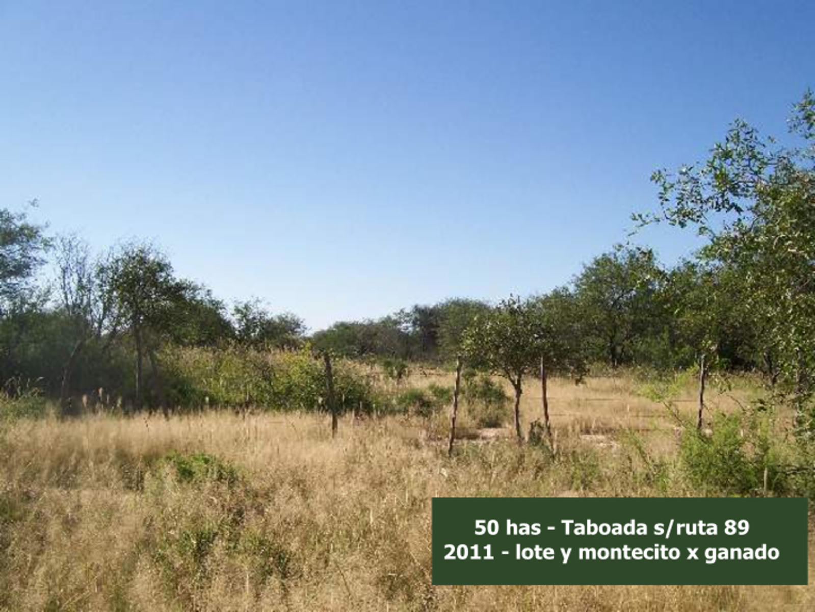 Campo en Venta en Taboada, sobre Ruta 89 y casi Ruta 34, zona de riego - Stgo del Estero - 9