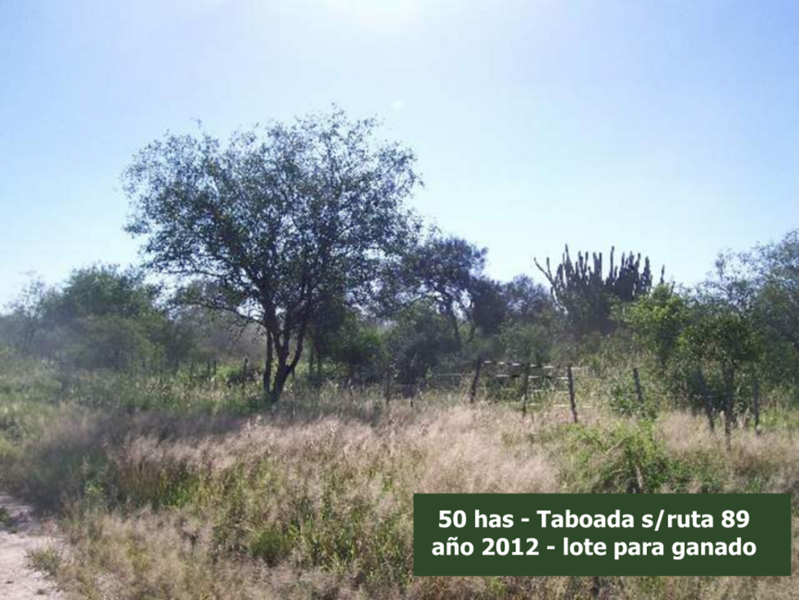 Campo en Venta en Taboada, sobre Ruta 89 y casi Ruta 34, zona de riego - Stgo del Estero - 10
