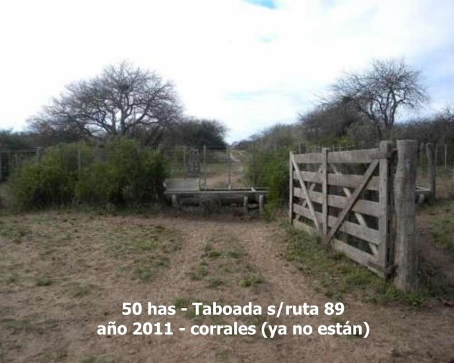 Campo en Venta en Taboada, sobre Ruta 89 y casi Ruta 34, zona de riego - Stgo del Estero - 11
