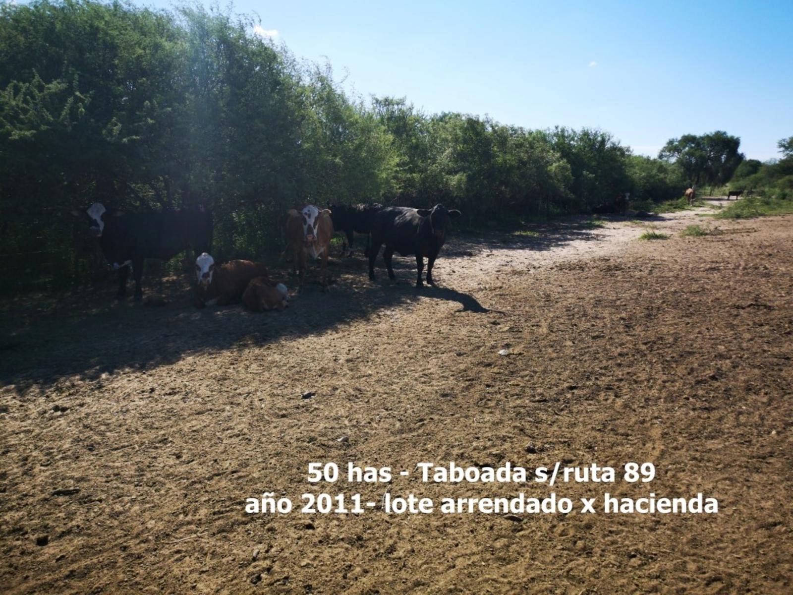 Campo en Venta en Taboada, sobre Ruta 89 y casi Ruta 34, zona de riego - Stgo del Estero - 12