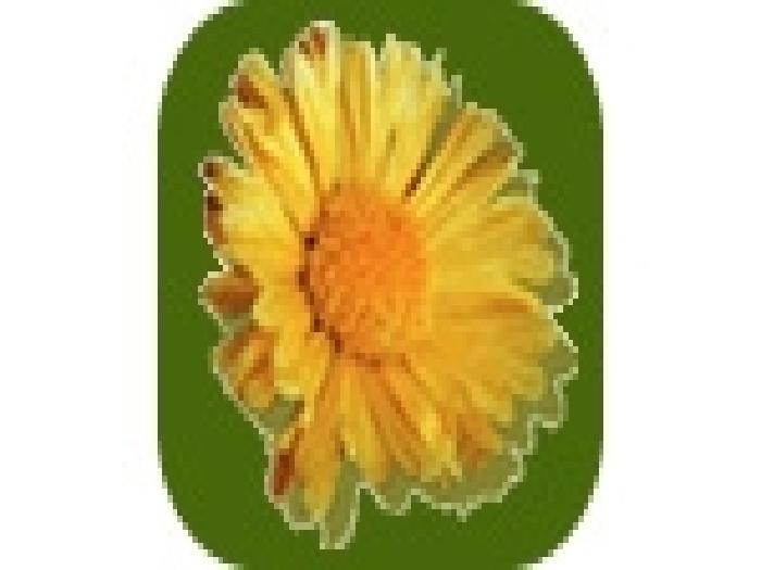 Campo en Venta en Toay, Toay, La Pampa - 1