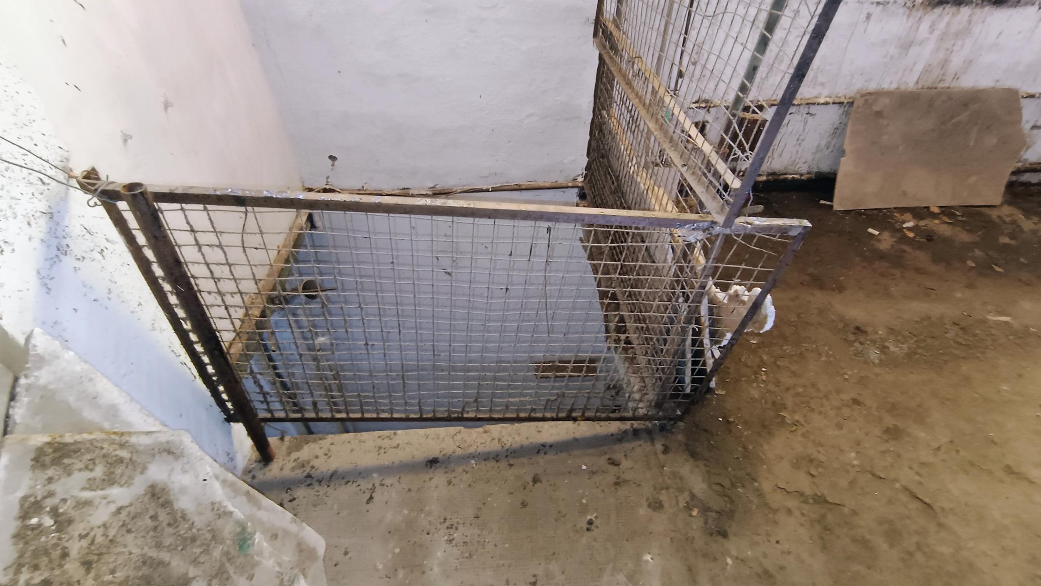VENTA Galpon Industrial Murro - 17