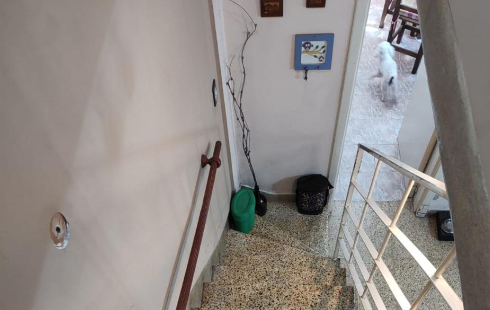 Venta Casa 6 Ambientes en Villa Ariza, Ituzaingó Norte - Lote 407 m² - 4 Dormitorios — foto 8