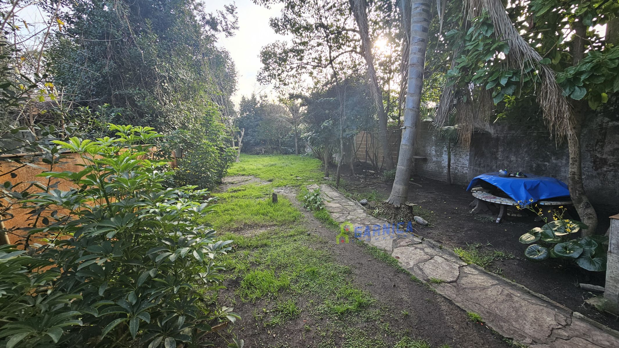 VENTA Casa Antigua, Villa Ariza, Ituzaingó Norte - 8