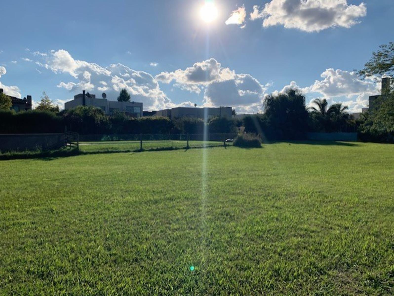 Hermoso lote en fincas 2 central — foto 4