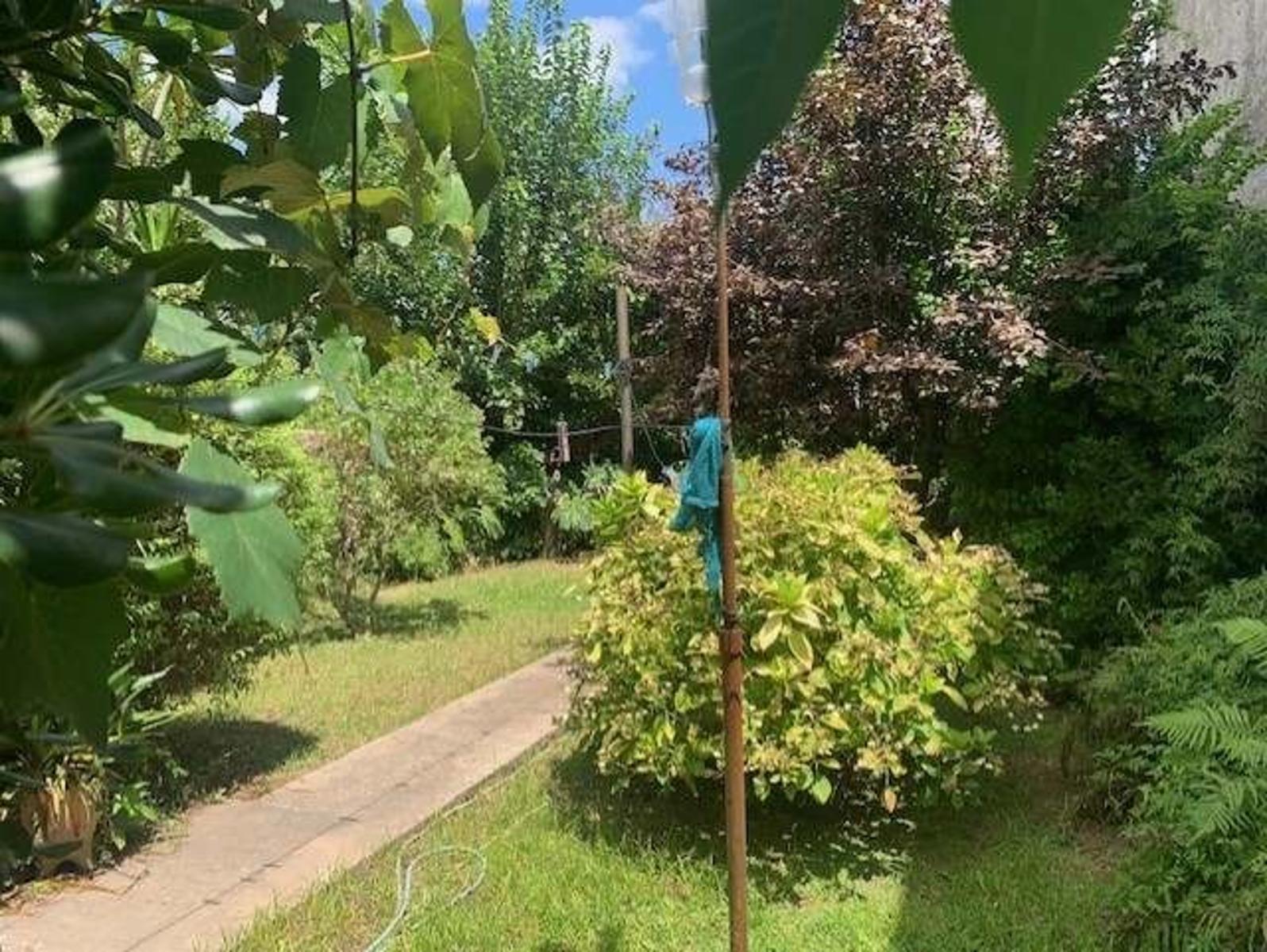 Casa 3 amb.a reciclar con cochera y fondo en Bernal oeste — foto 10