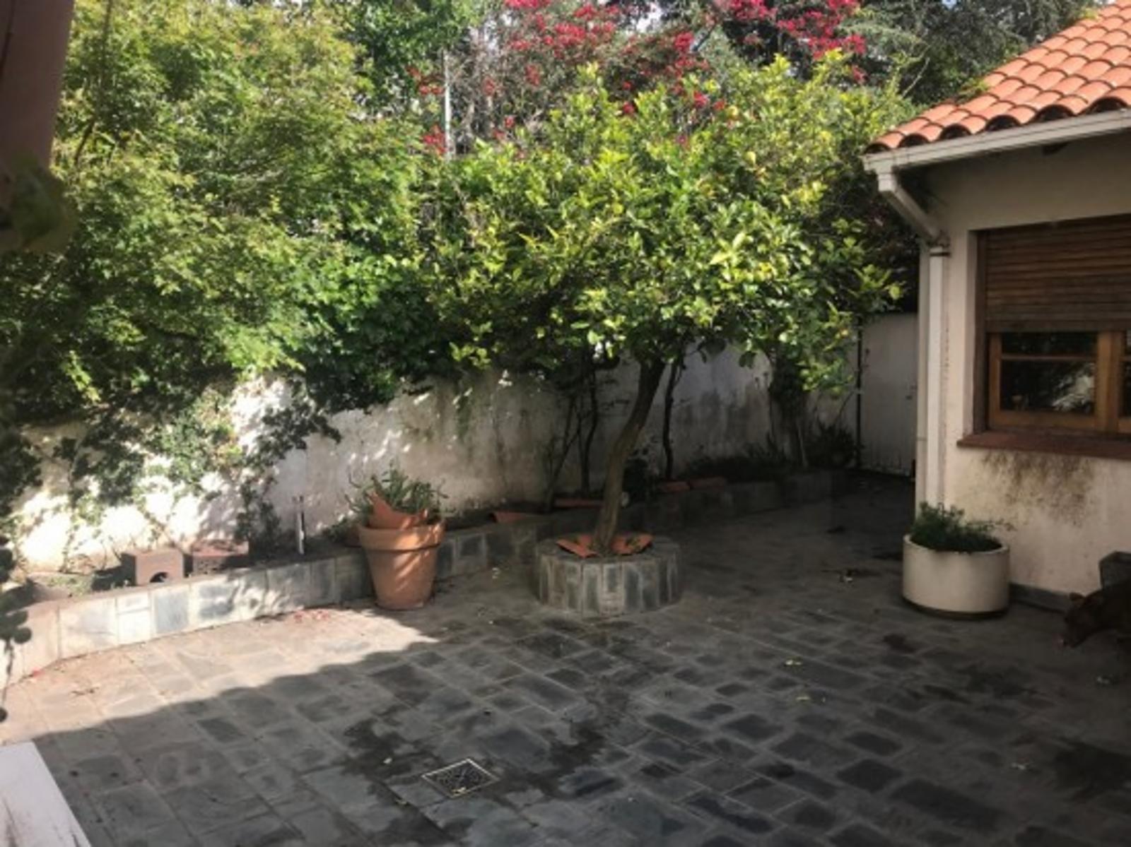 Chalet Los Troncos Alquiler - 6