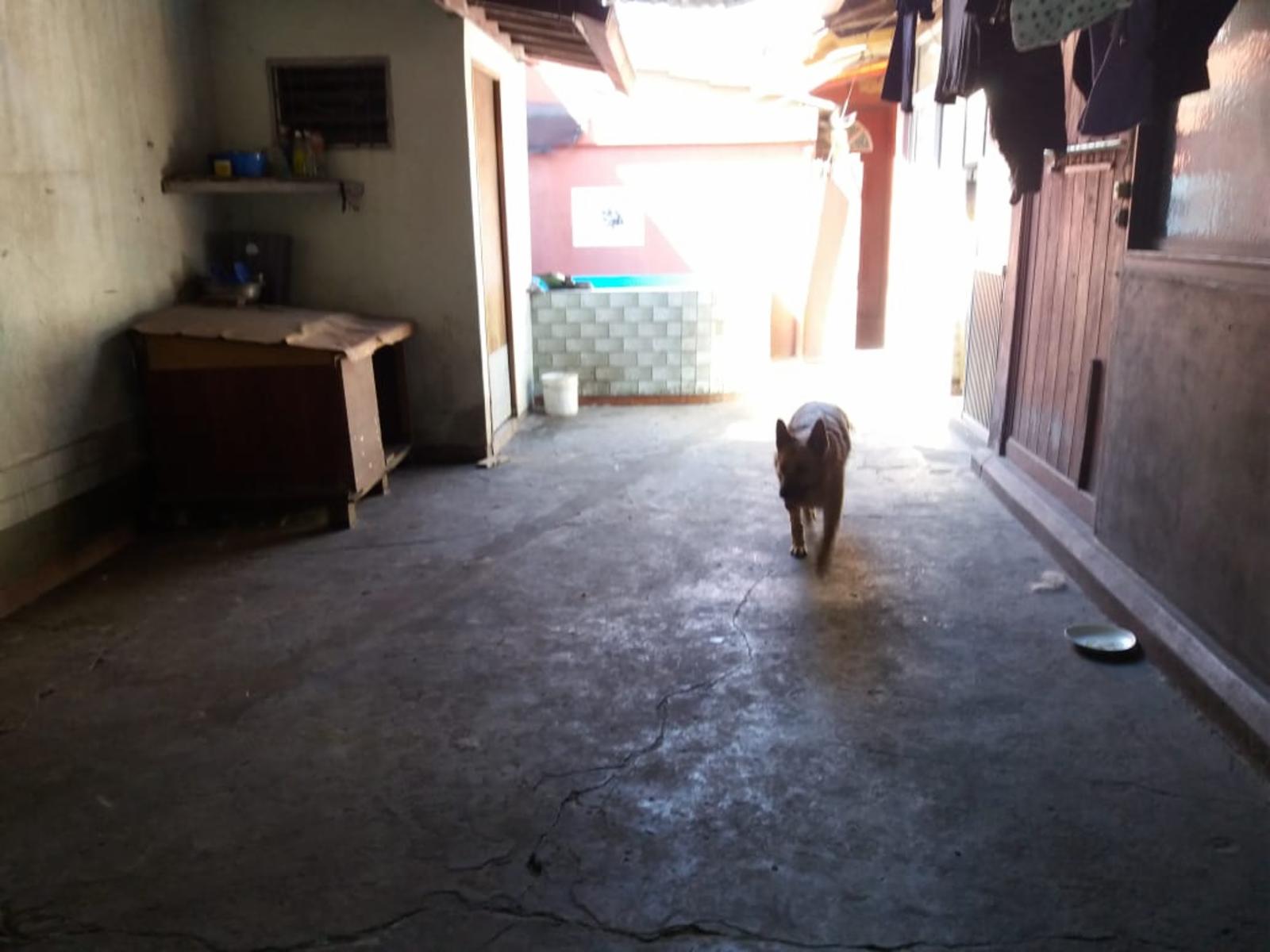 Venta de Casa 4 dormitorios, Pompeya. — foto 9