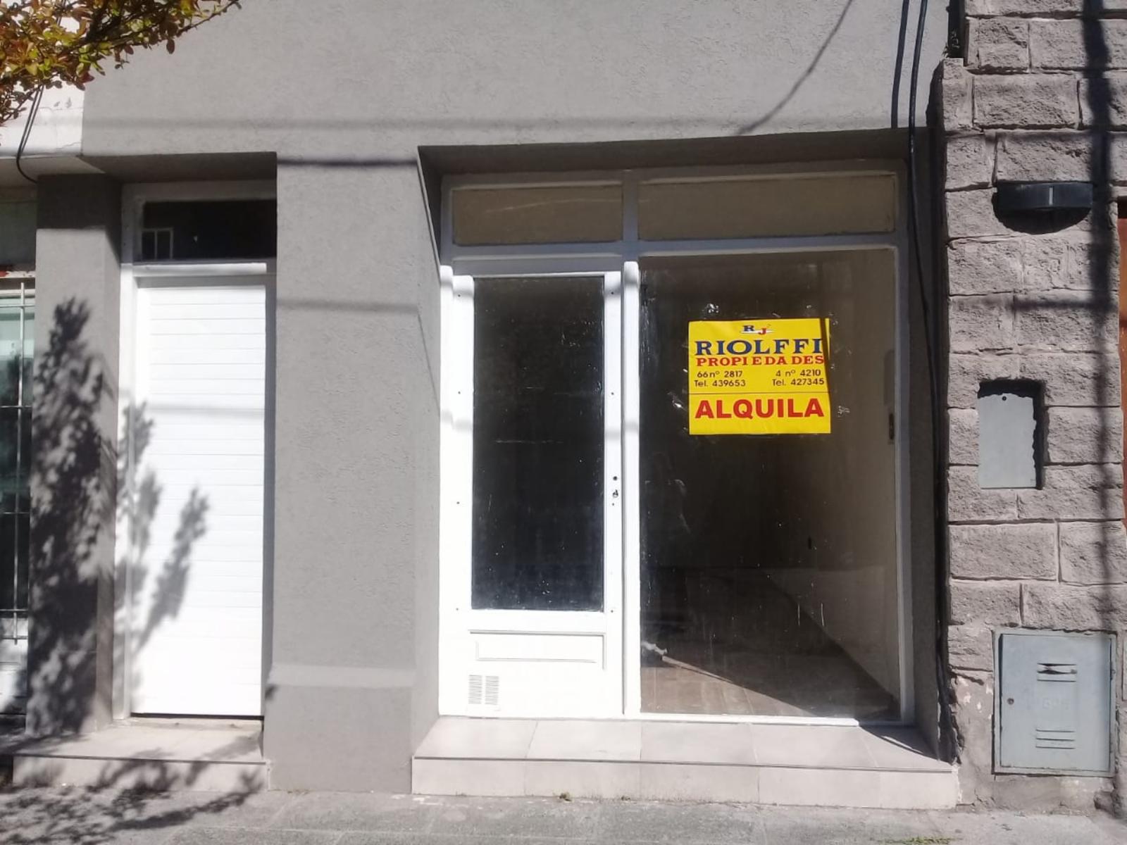 Local comercial (solo apto profesional)