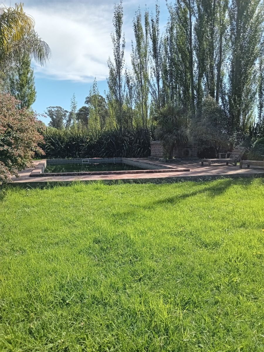 Excelente quinta en avenida 58 frente a villa del deportista,cuenta conpiscina y hermoso parque - 3