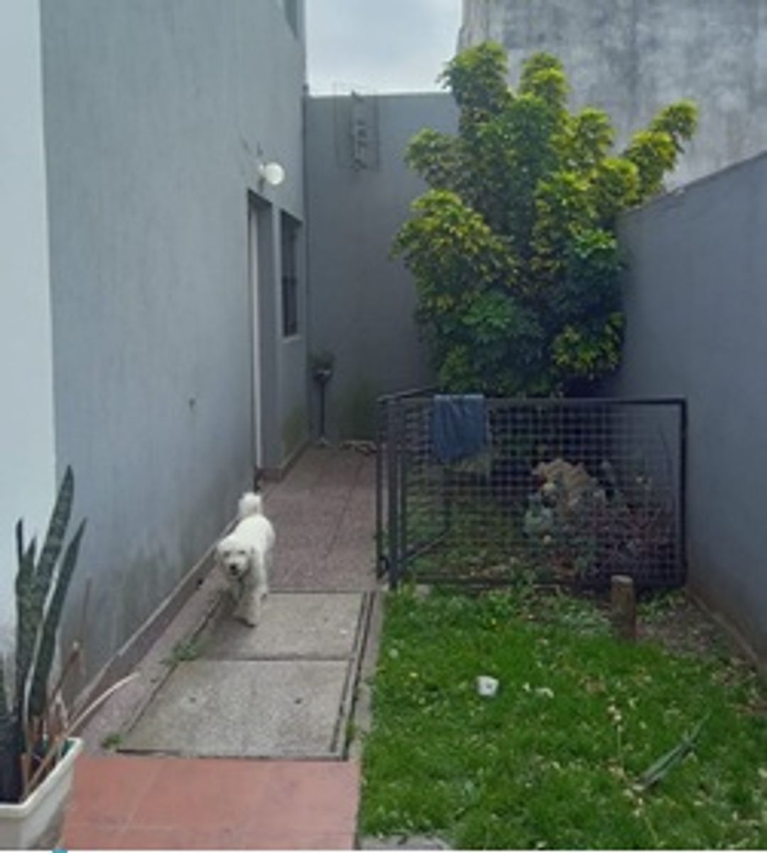 Hermoso duplex con cochera - 3