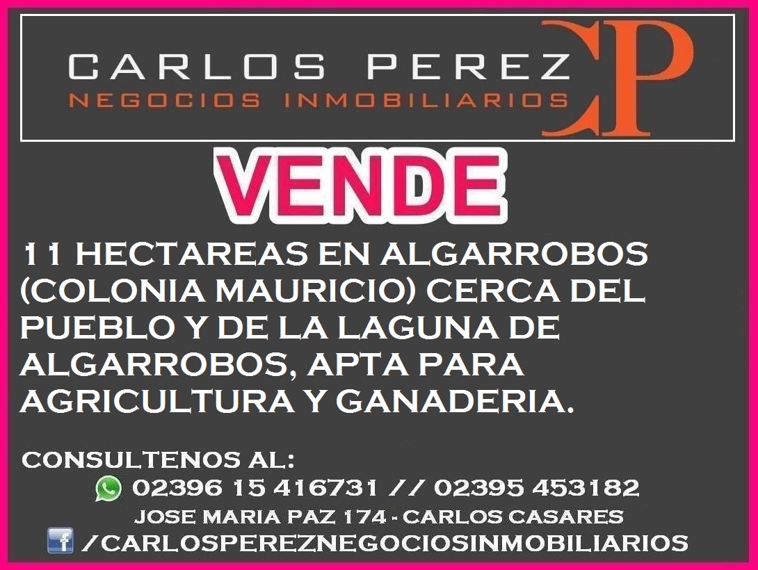 VENTA DE QUINTA 11 HECT. EN ALGARROBOS - 3