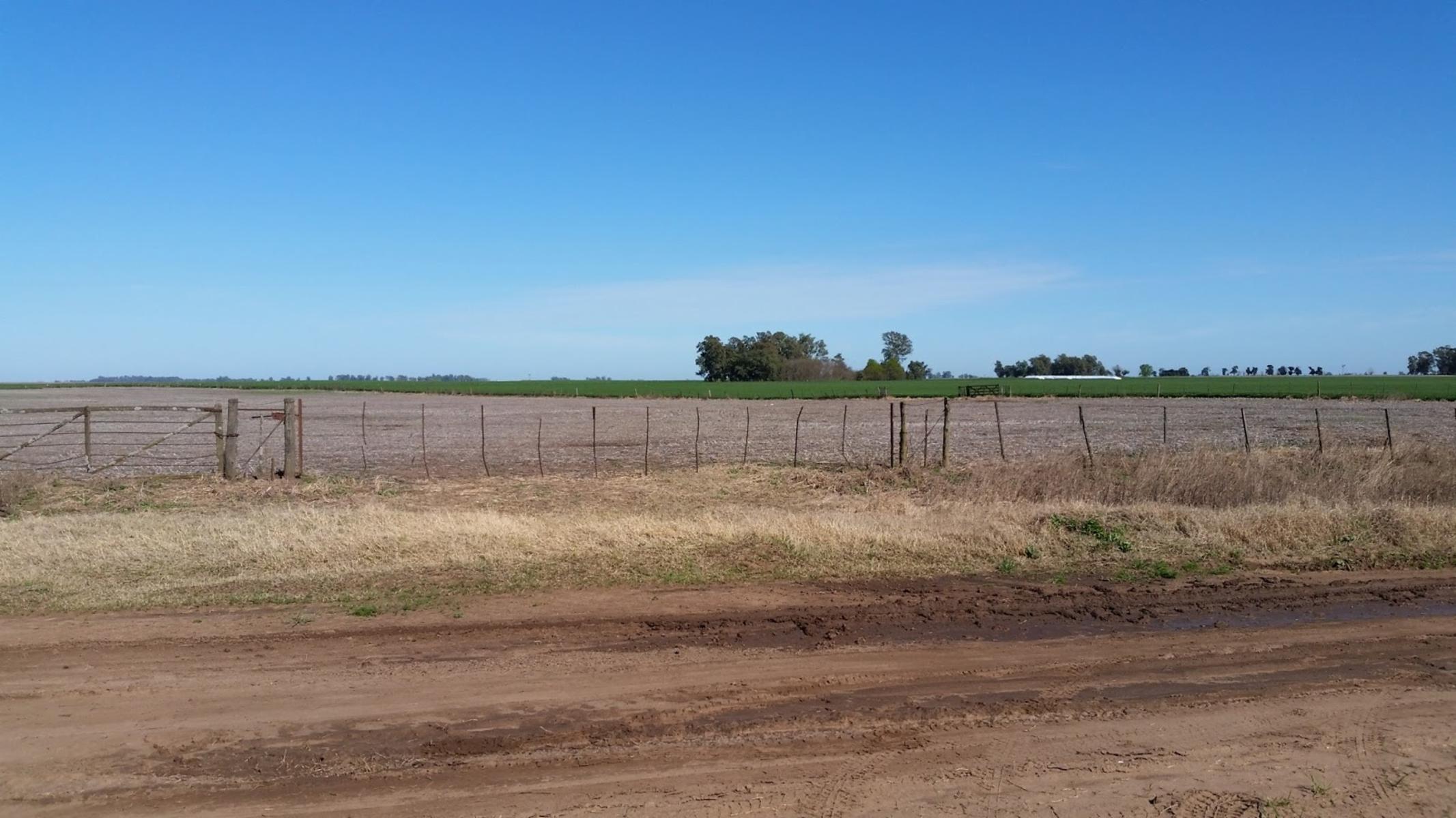 CAMPO DE 142 HECTÁREAS EN GUANACO, A 3 KM DE RUTA 5 - 2