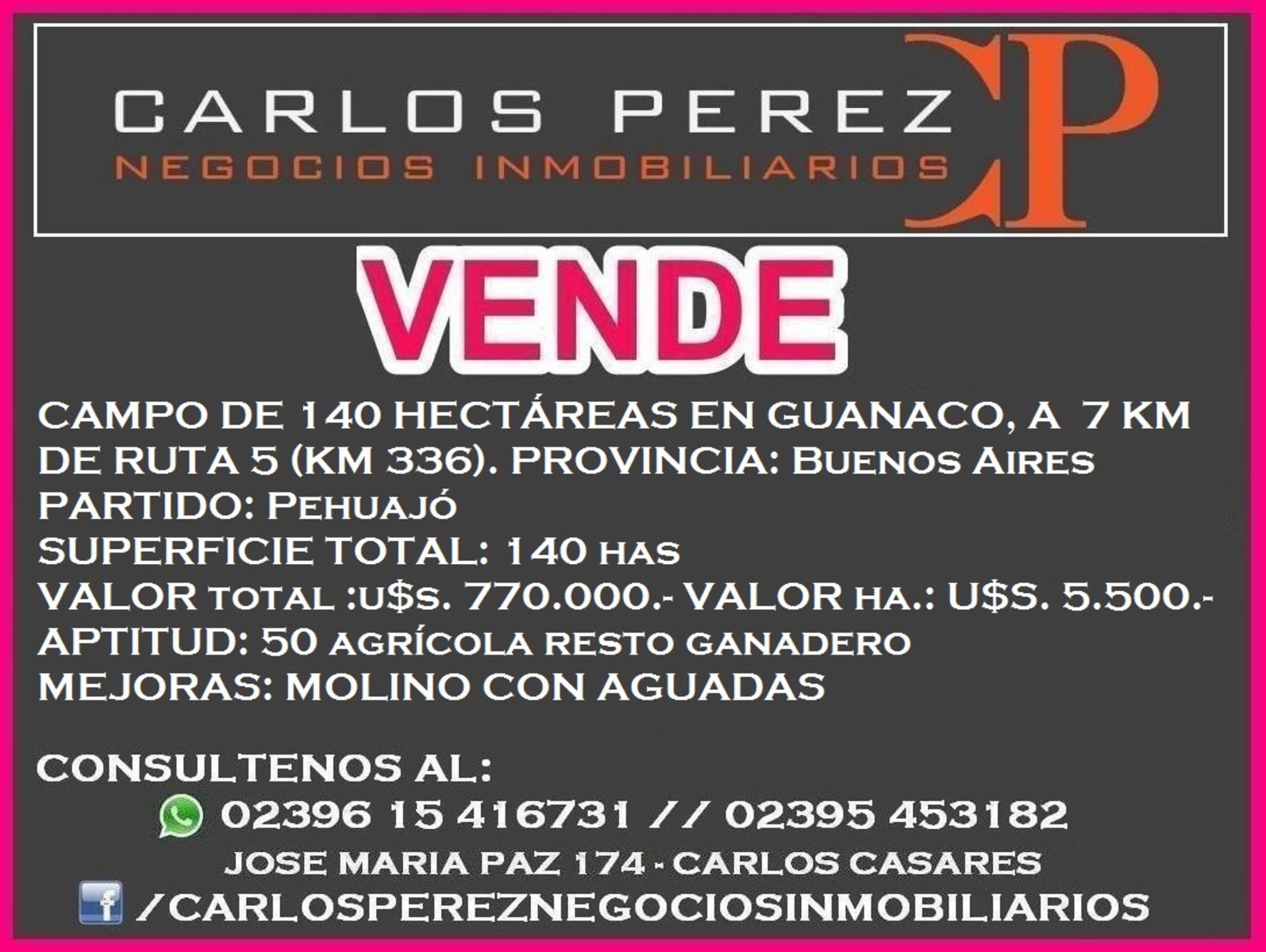 CAMPO DE 142 HECTÁREAS EN GUANACO, A 3 KM DE RUTA 5 - 4