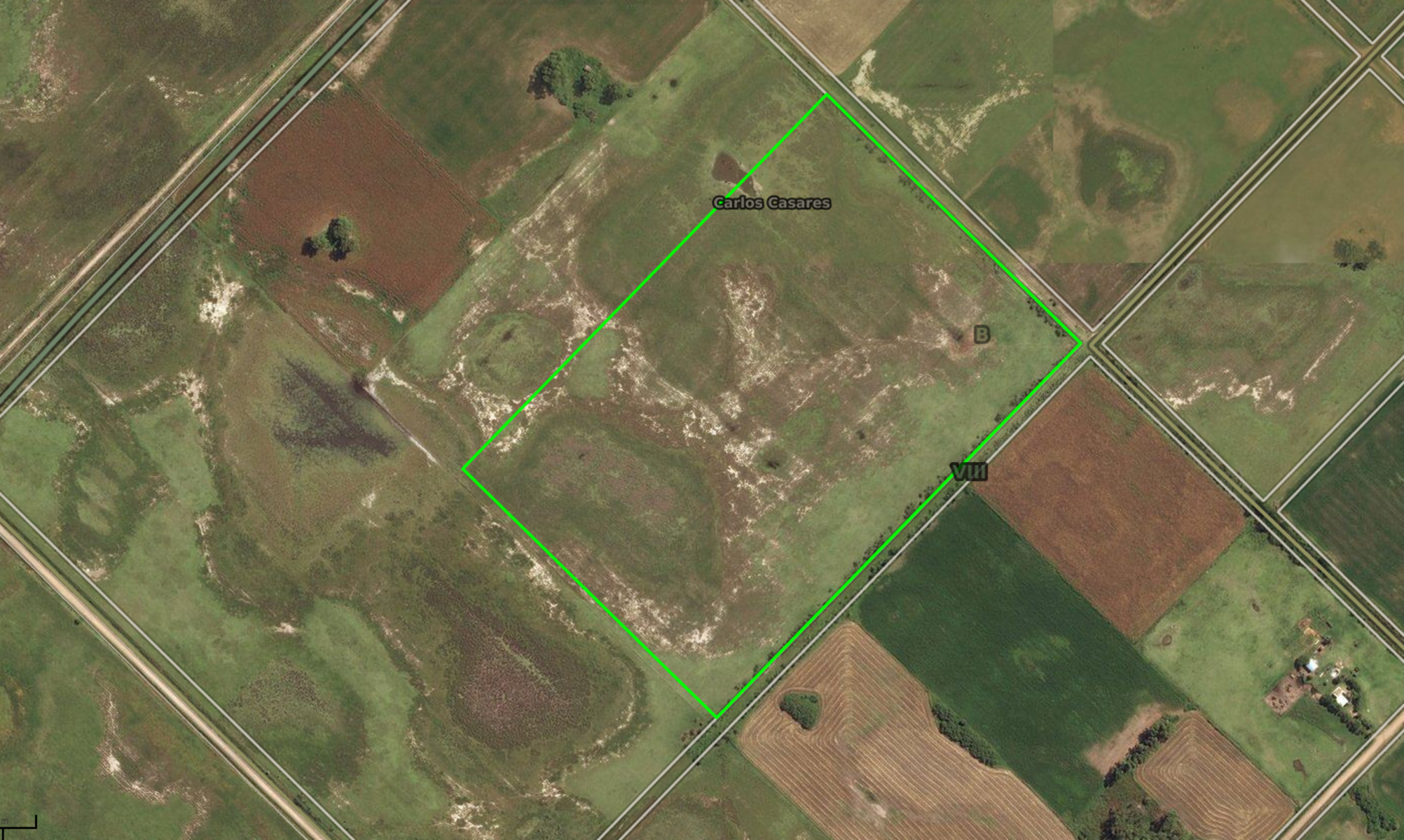 VENTA DE CAMO 34 HECTAREAS EN CADRET - 2