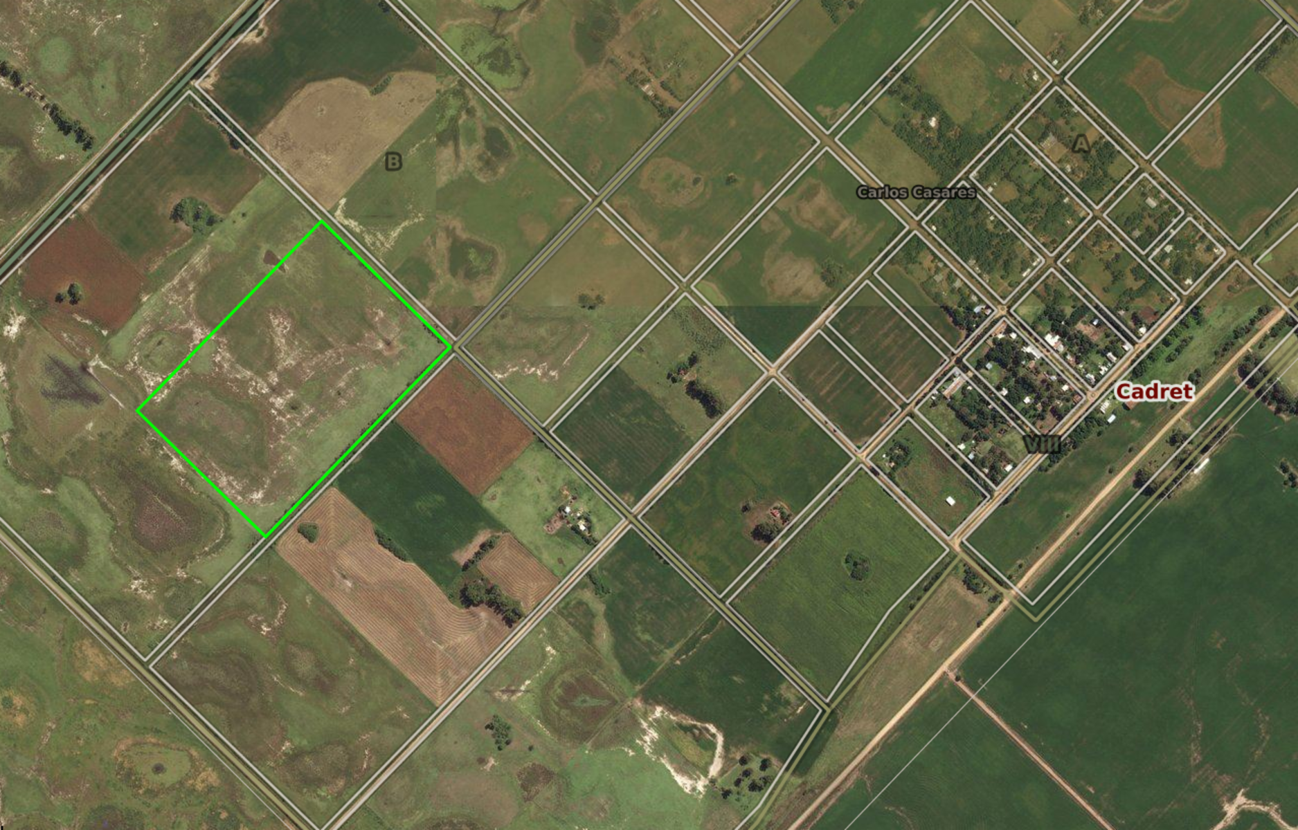 VENTA DE CAMO 34 HECTAREAS EN CADRET - 3