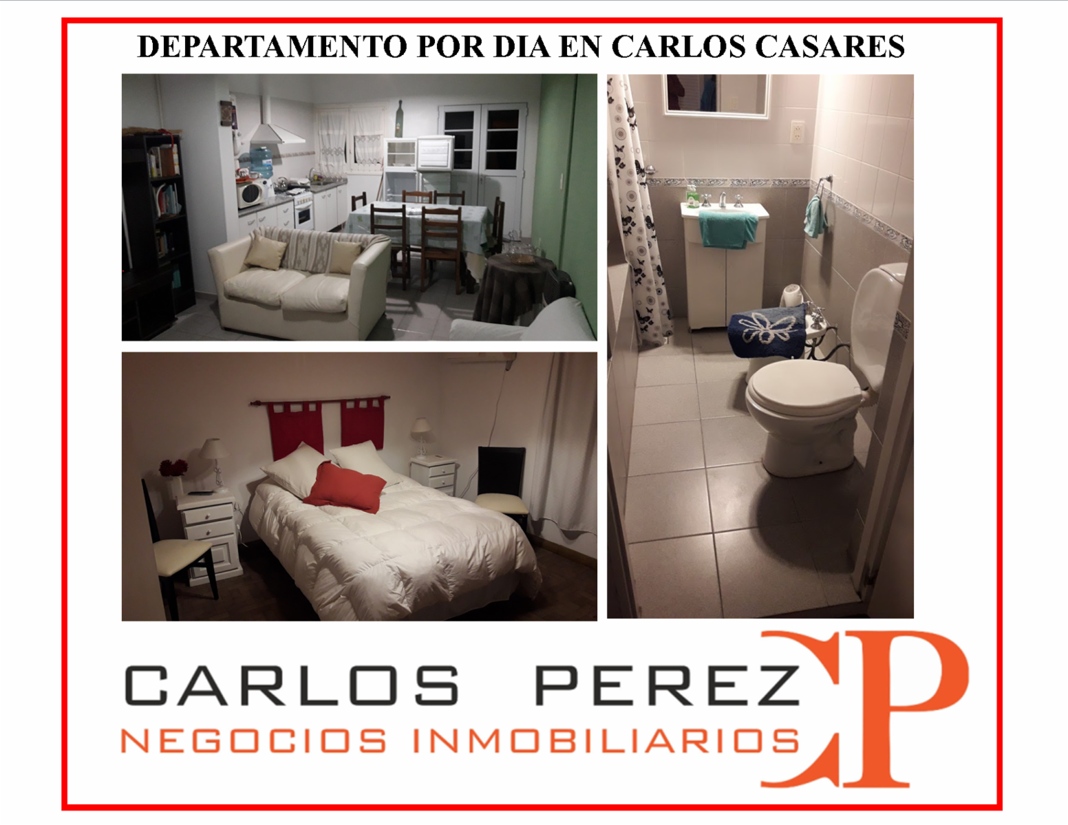 DEPARTAMENTO POR DÍA EN CARLOS CASARES — foto 5