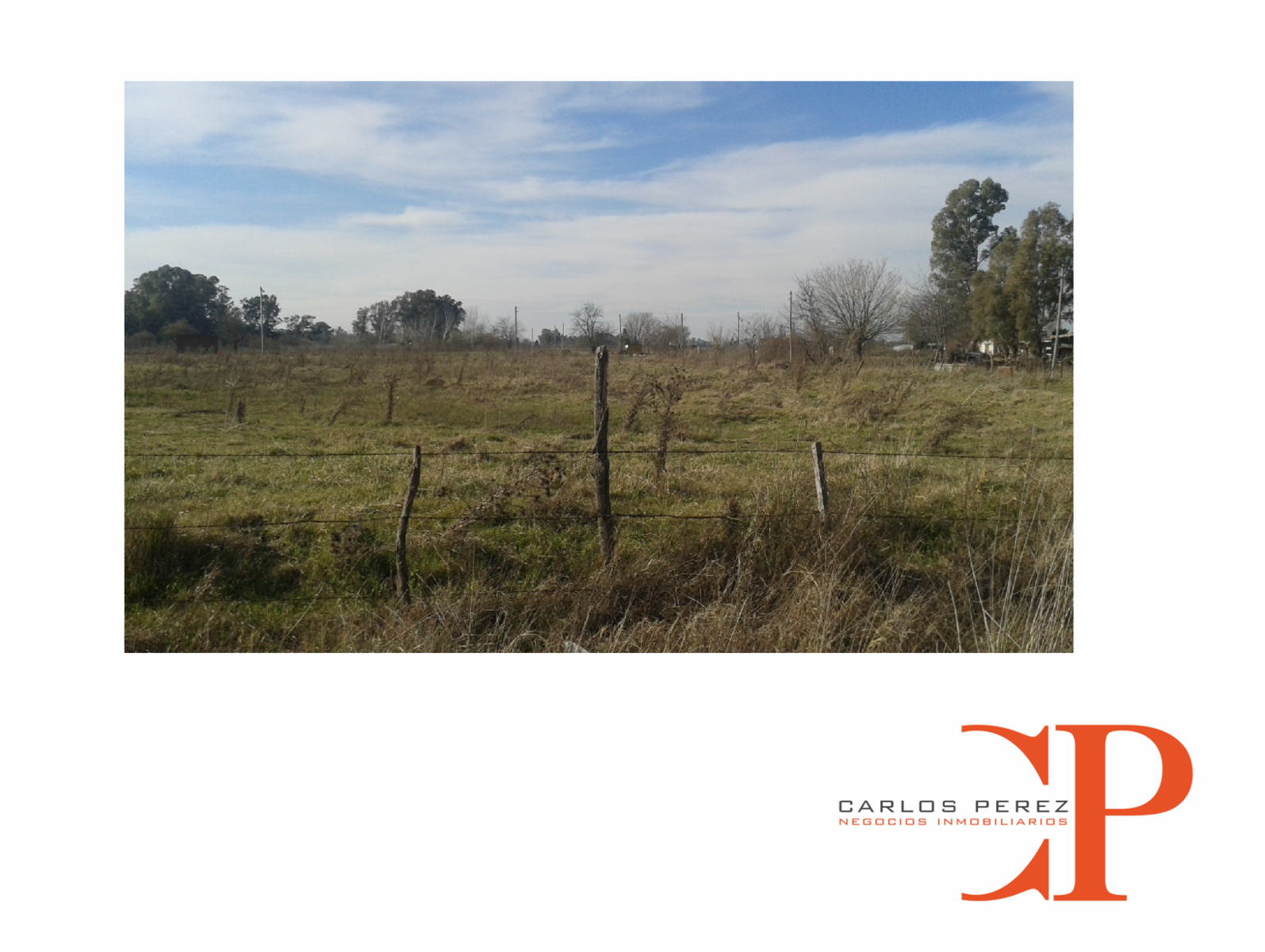 TERRENOS EN LA LOCALIDAD DE SMITH - 7