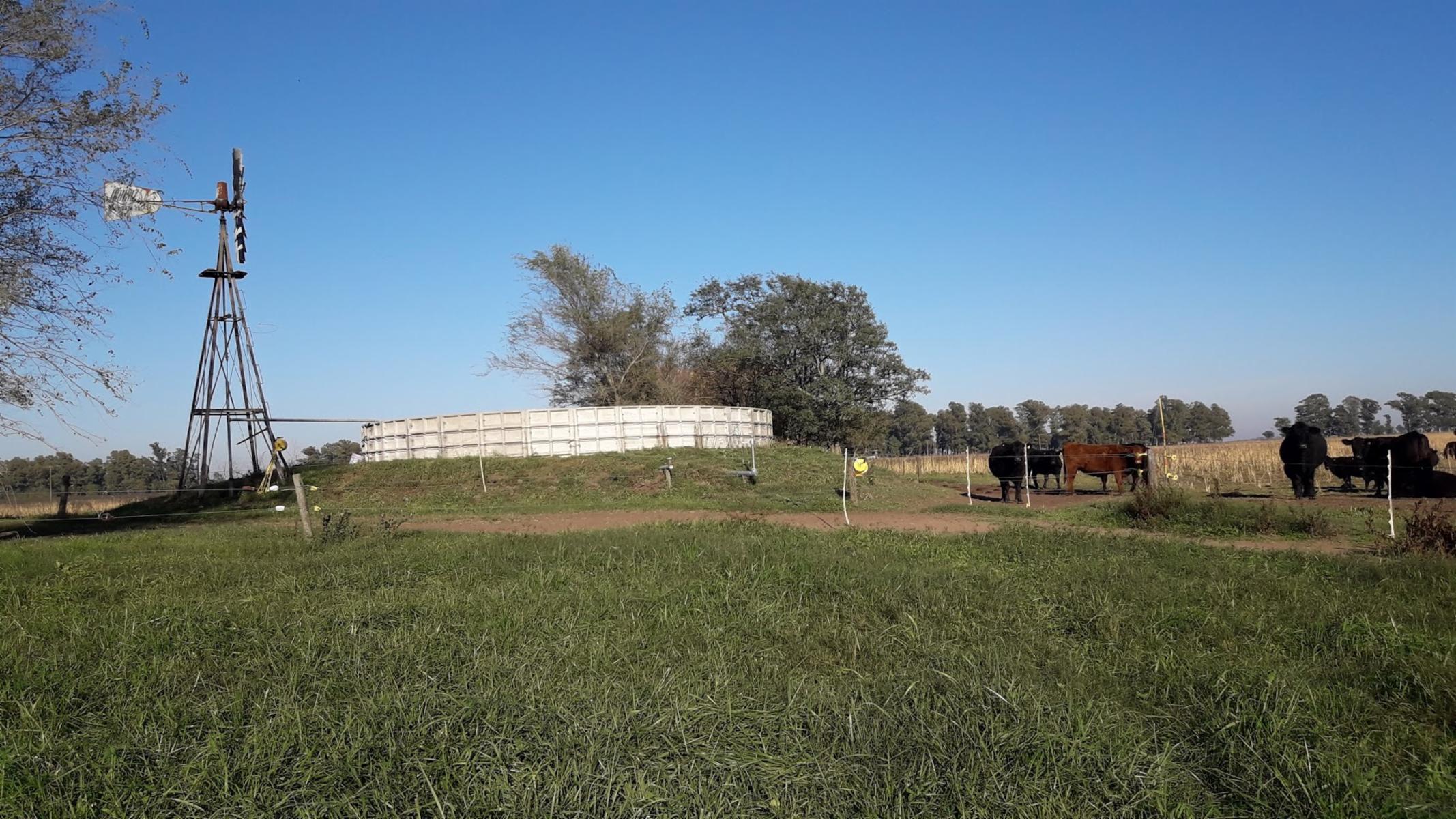 CAMPO 309 HECTAREAS EN CADRET CARLOS CASARES - 7