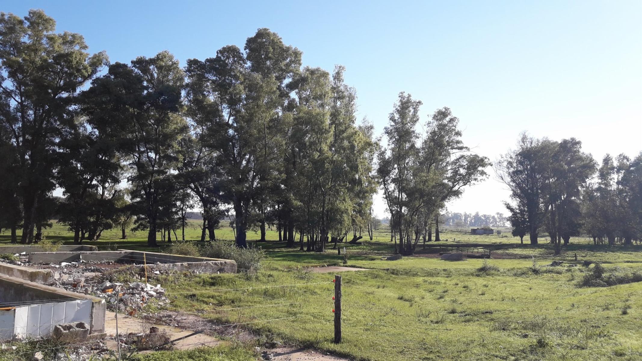 CAMPO 309 HECTAREAS EN CADRET CARLOS CASARES - 12