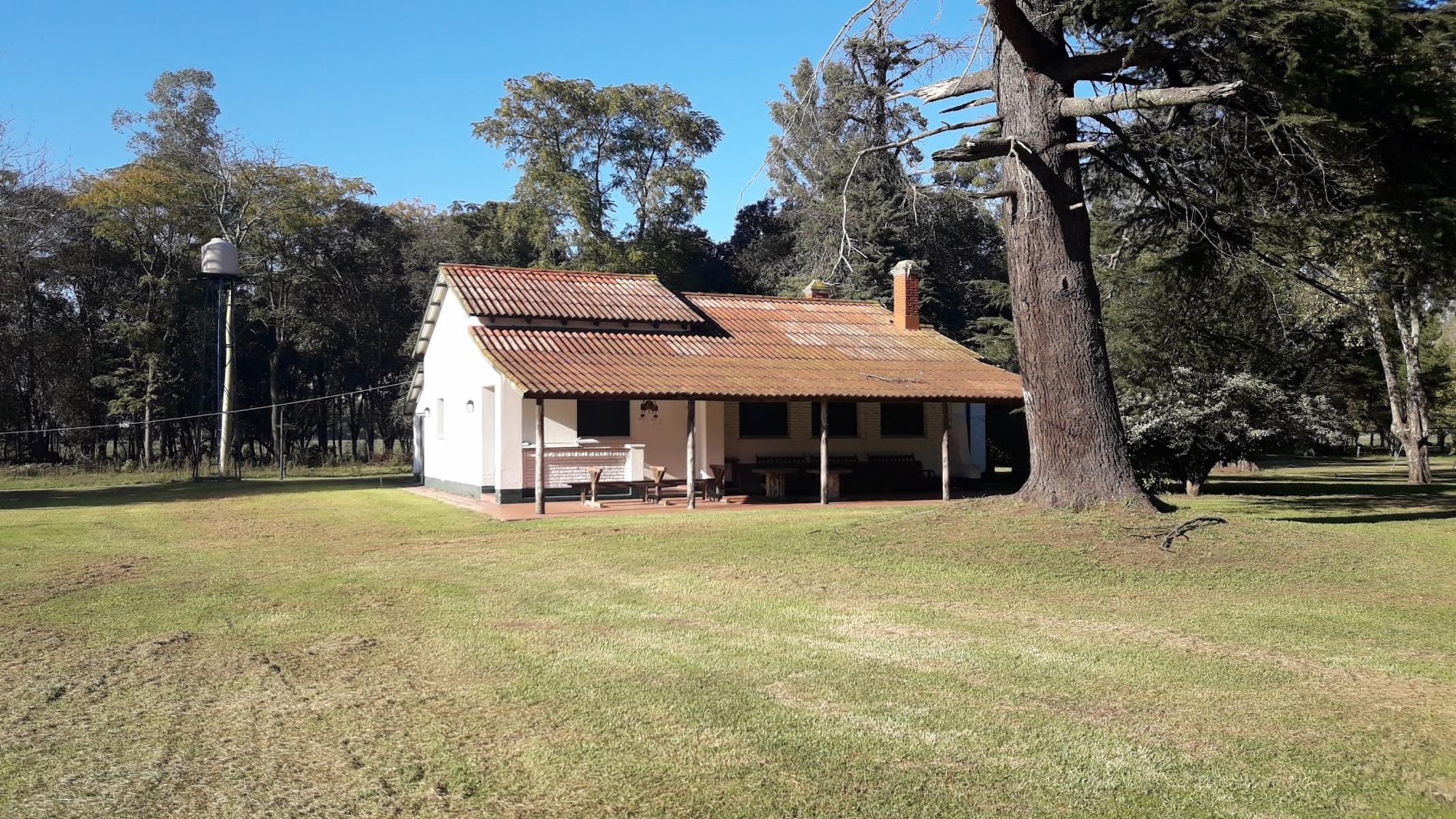 CAMPO 309 HECTAREAS EN CADRET CARLOS CASARES - 13