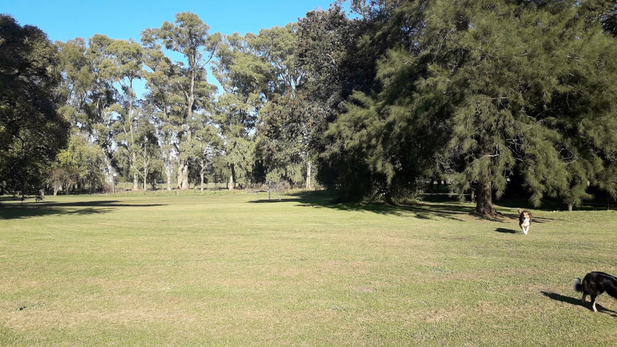 CAMPO 309 HECTAREAS EN CADRET CARLOS CASARES - 14