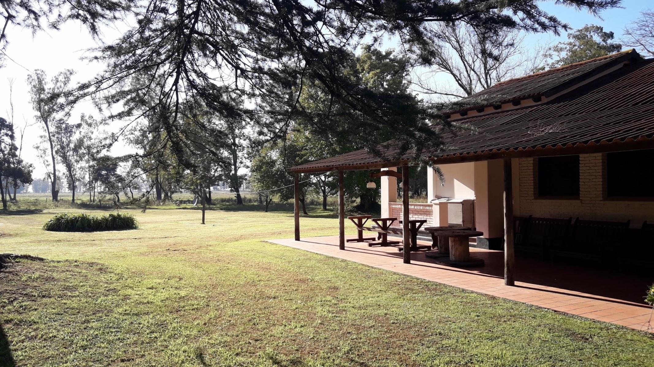 CAMPO 309 HECTAREAS EN CADRET CARLOS CASARES - 17