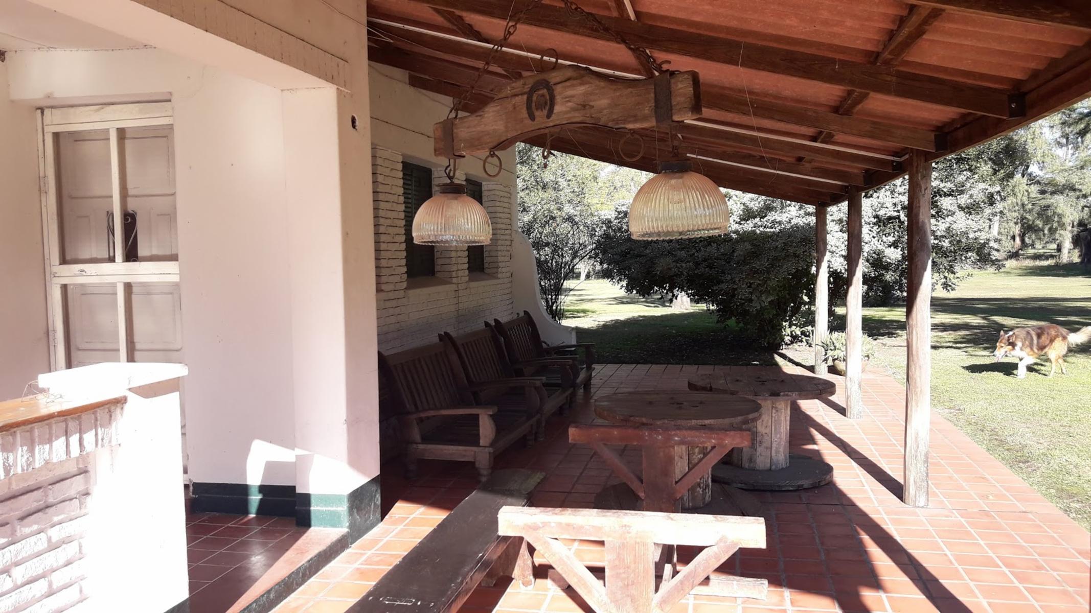 CAMPO 309 HECTAREAS EN CADRET CARLOS CASARES - 18