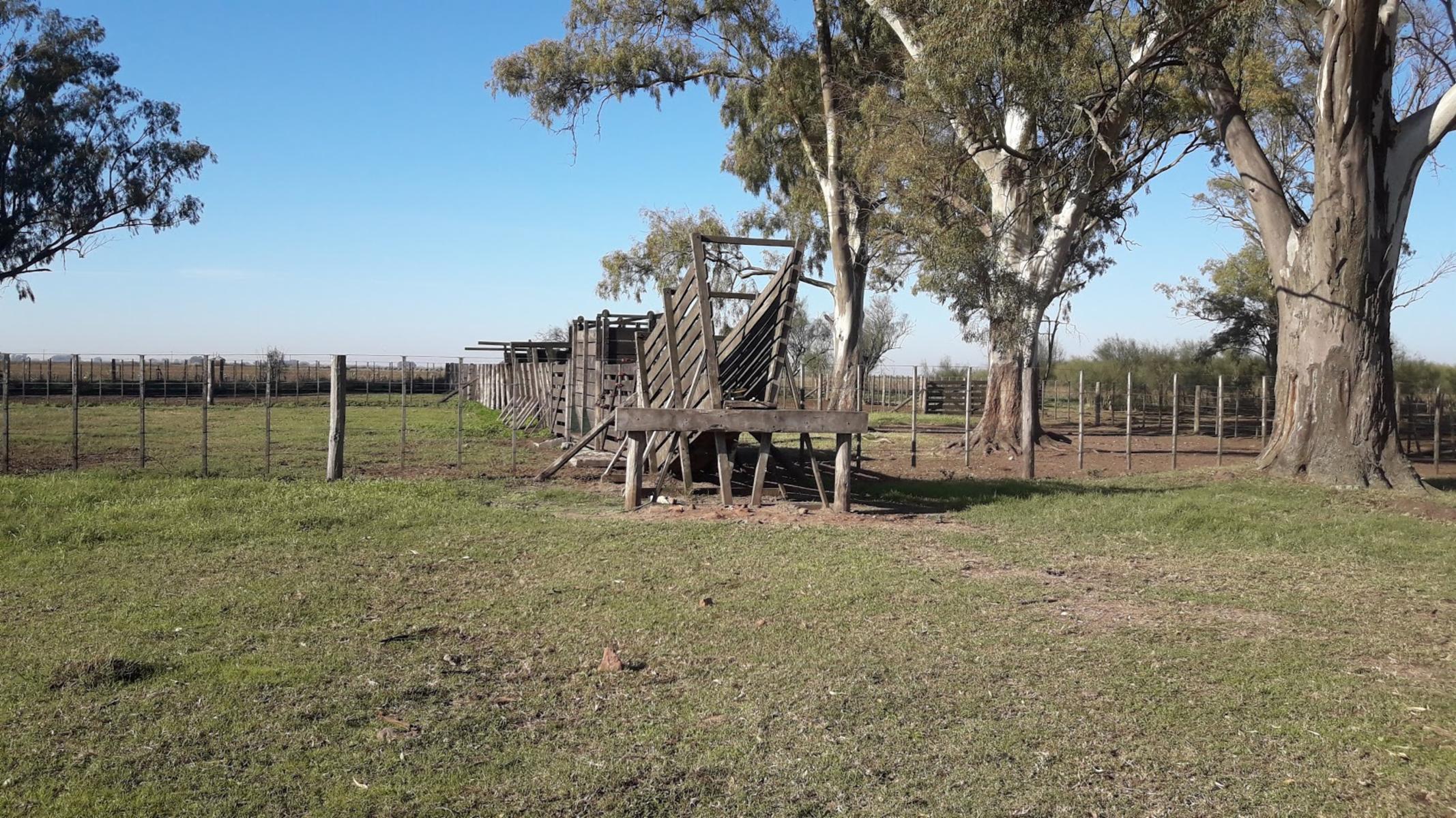 CAMPO 309 HECTAREAS EN CADRET CARLOS CASARES - 20