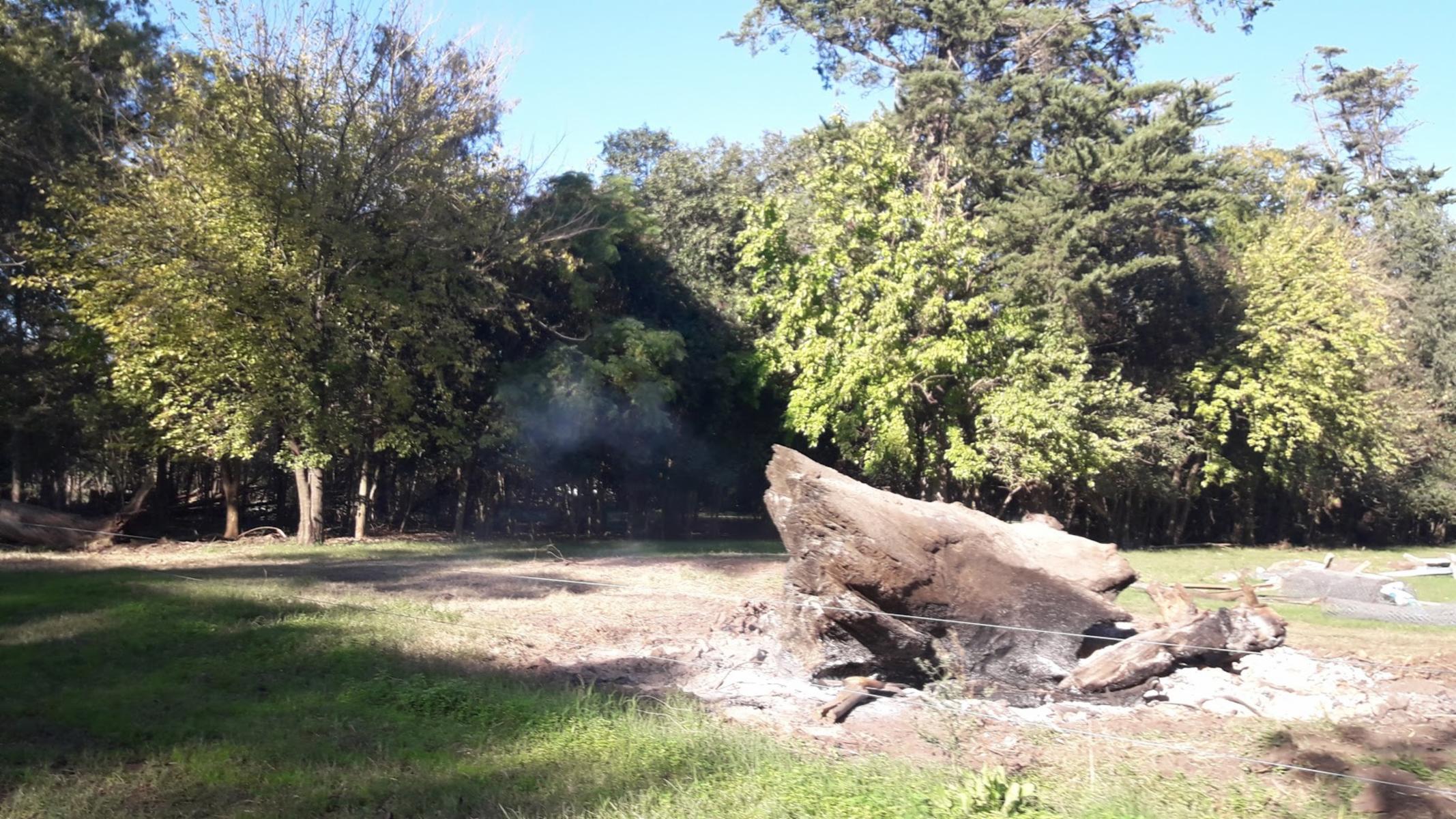 CAMPO 309 HECTAREAS EN CADRET CARLOS CASARES - 22