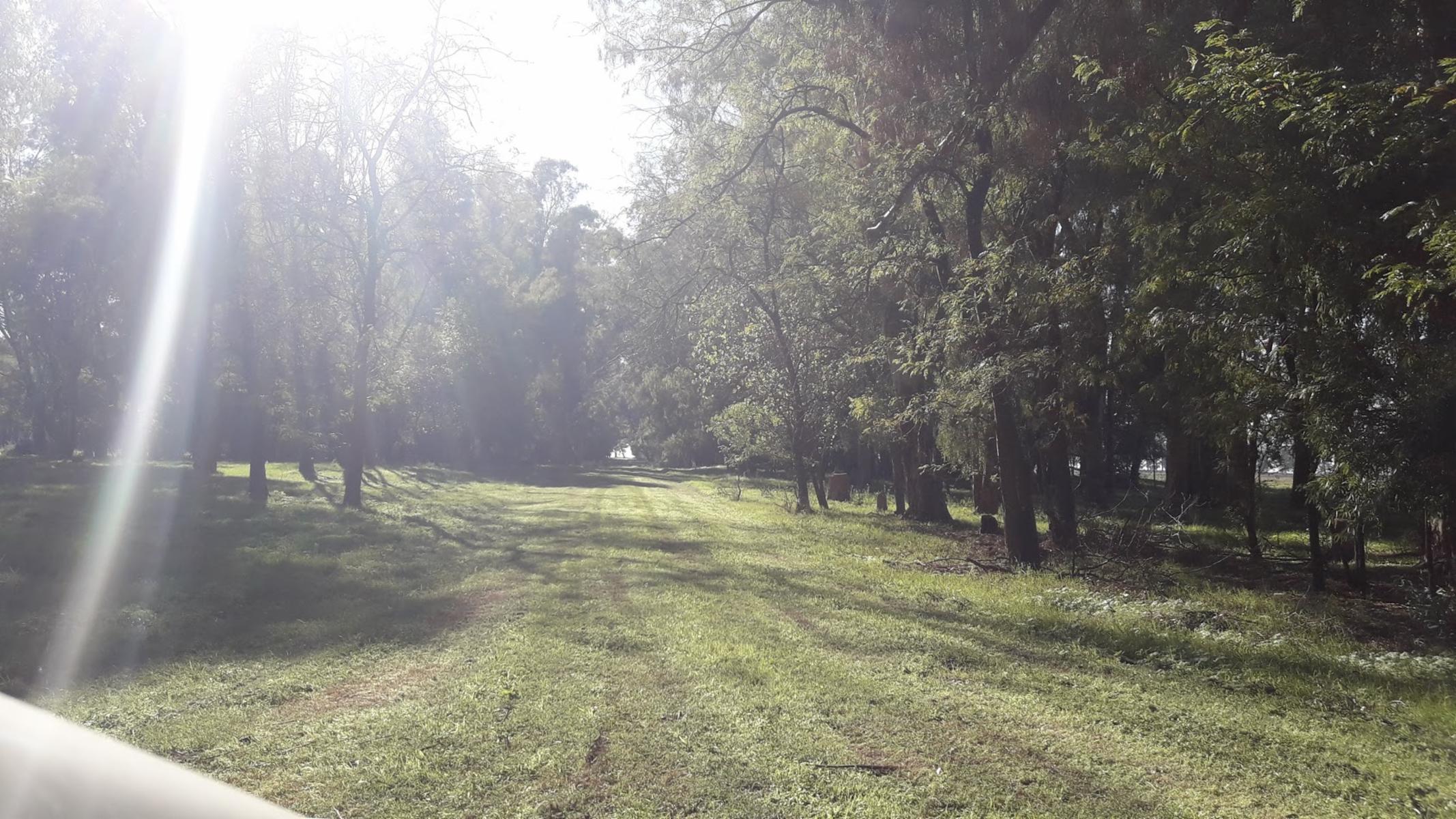 CAMPO 309 HECTAREAS EN CADRET CARLOS CASARES - 23